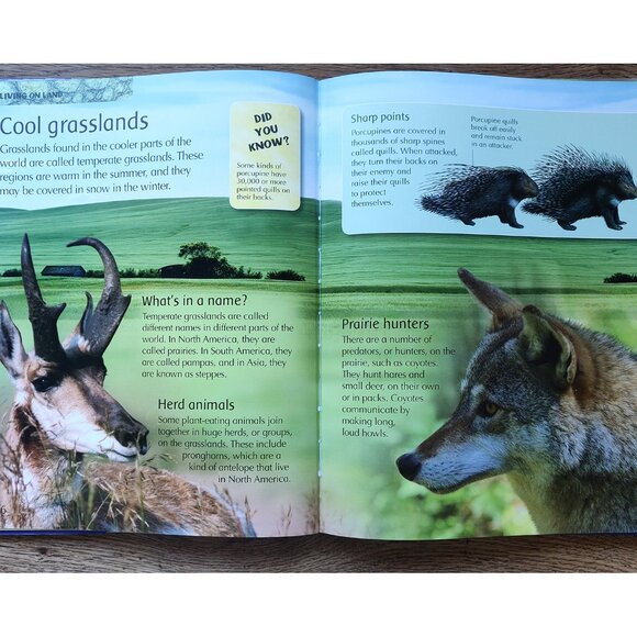 Children's Encyclopedia. 3 Books. - Picture 11 of 13